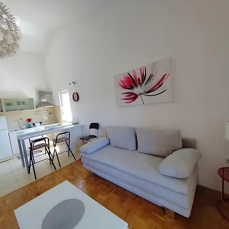 Roko, Hrvatska プーラ