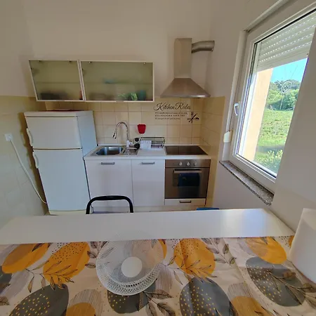 Roko, Hrvatska Póla
