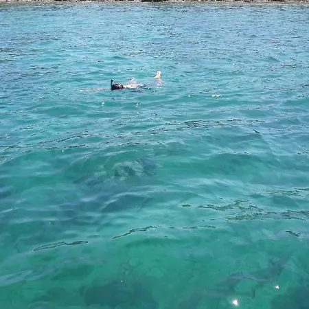 Roko, Hrvatska アパート *