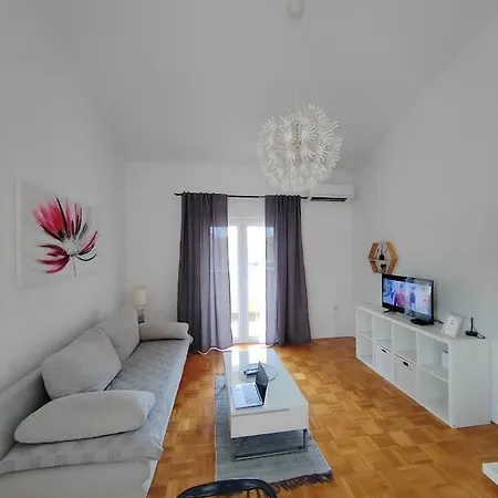 Roko, Hrvatska Pula