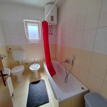 Roko, Hrvatska Pula