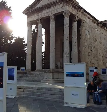 Roko, Hrvatska Pula