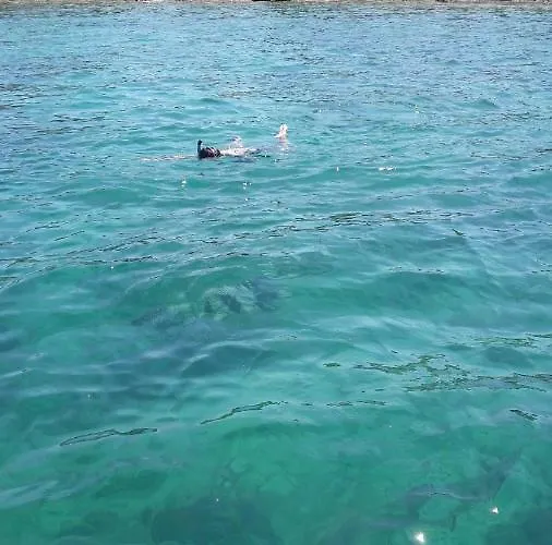 Roko, Hrvatska 公寓 *